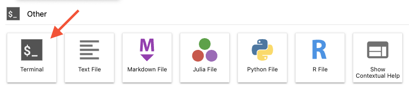Jupyter Terminal